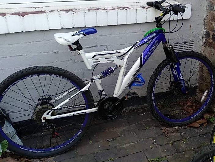 dunlop raider mountain bike